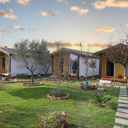 Hotel Villa Linda Shkoder Ngoại thất bức ảnh
